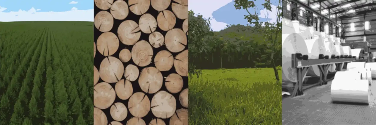 TreeD Journal Background - Forest Science Research